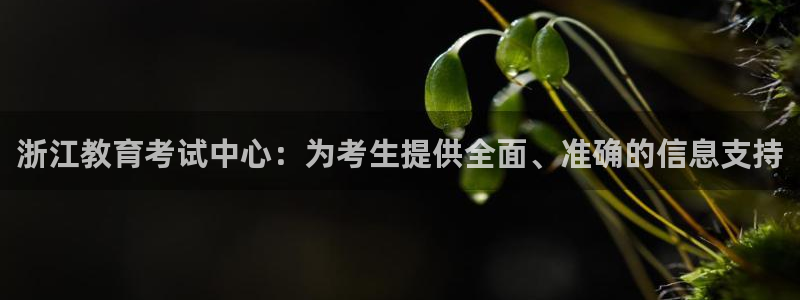 jdb电子游戏有多坑