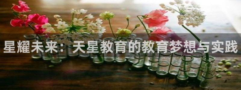 jdb游戏飞鸟排队一般几点最好玩