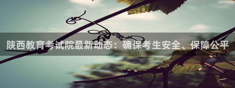 jdb电子金刚视频