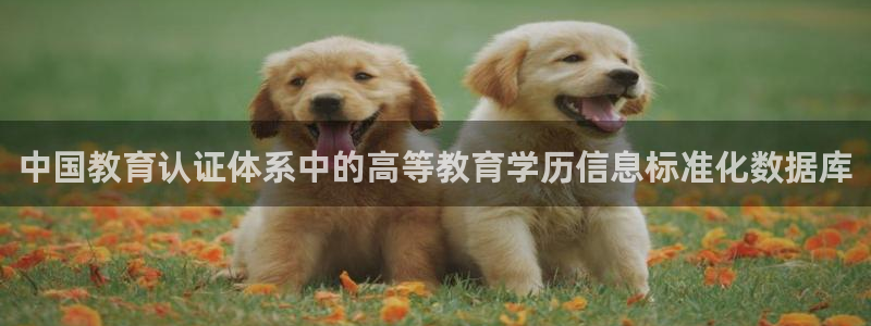 JDB平台最简单下载