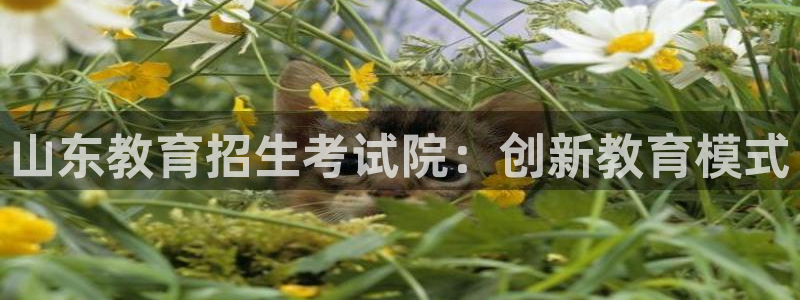 jdb电子平台官方