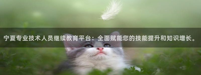 JDB游戏视频