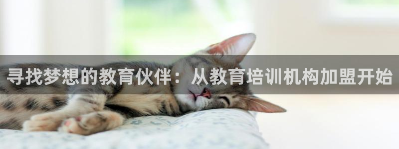 JDB电子游戏哪个容易赢