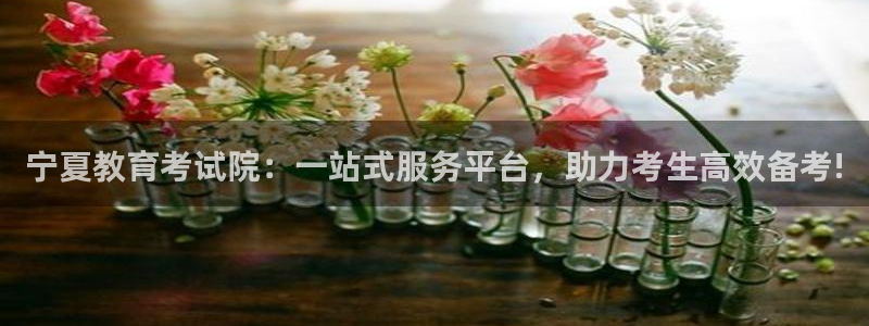 jdb台湾黑熊破解