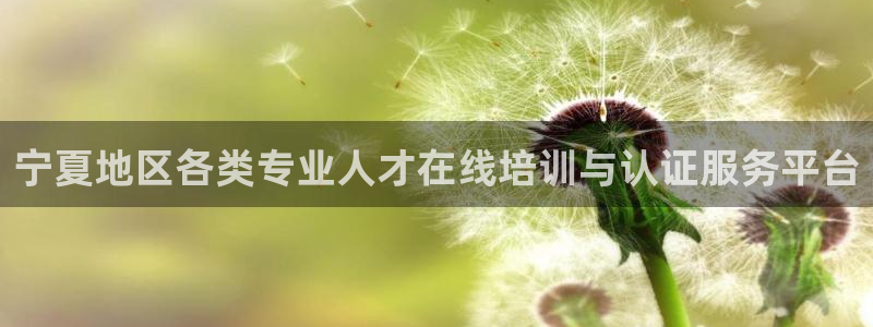 jdb电子模拟器