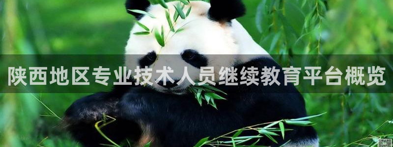 jdb电子平台能提现吗是真的吗安全吗