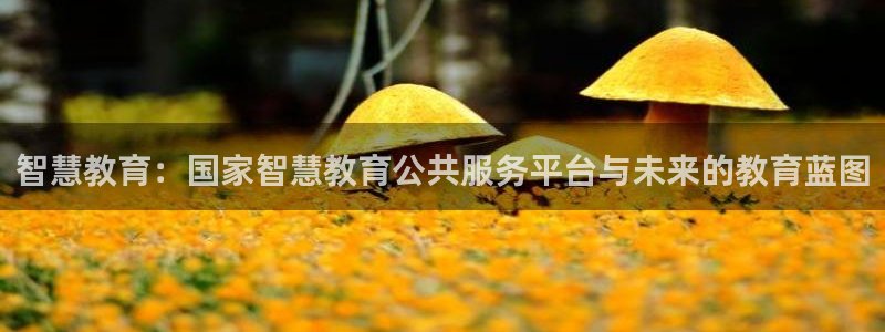 jdb夺宝游戏公司