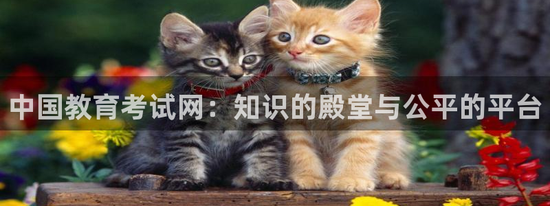 jdb电子变脸无限金币