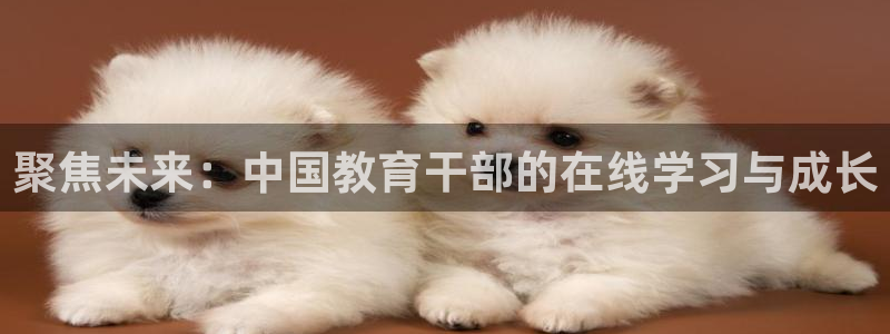 jdb电子夺宝试玩版