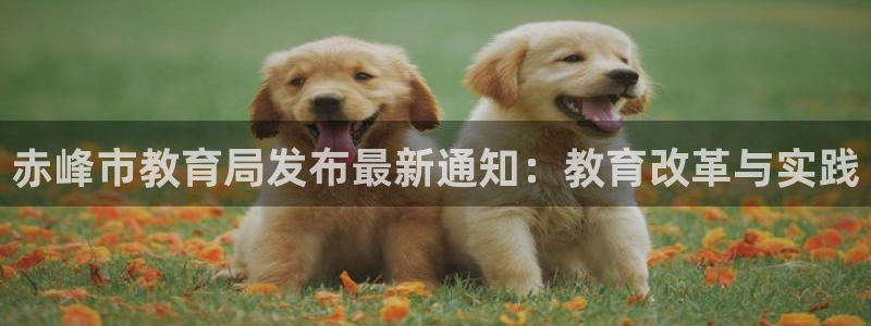 怎么下载jdbc