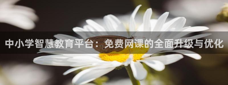 jdb变脸电子游戏技巧