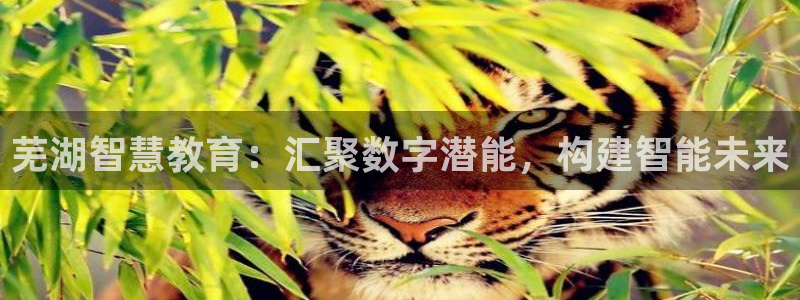 jdb电子忍者x爆奖