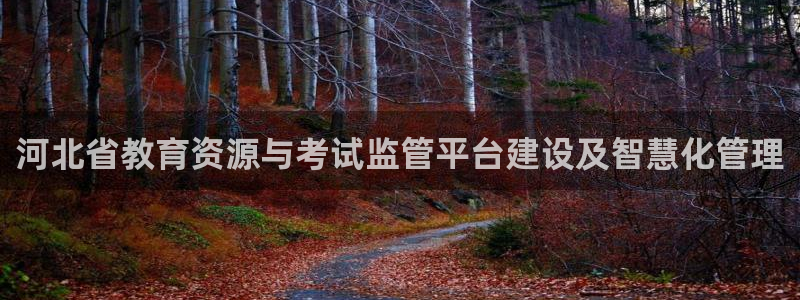 jdb电子游戏是哪个国家