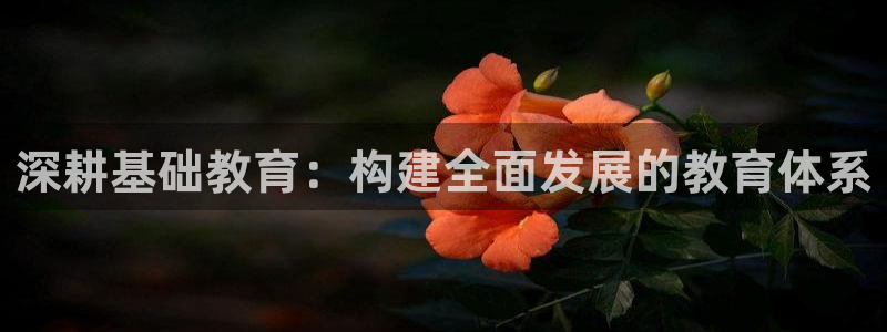 JDB电子游戏飞鸟派对