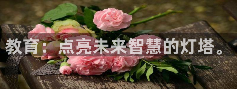 jdb电子游戏是哪个国家