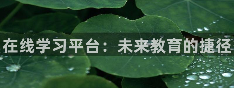 jdb电子变脸倍数