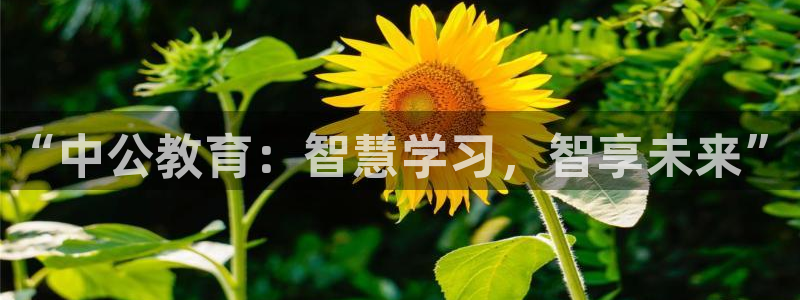 jdb五龙捕鱼实用技巧