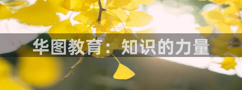 jdb游戏麻雀无双大奖视频