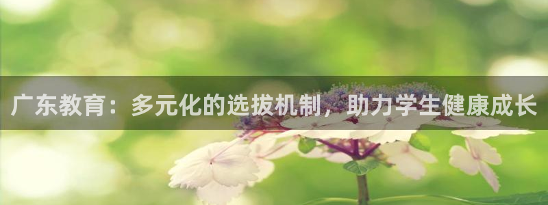 jdb电子试玩官网是什么