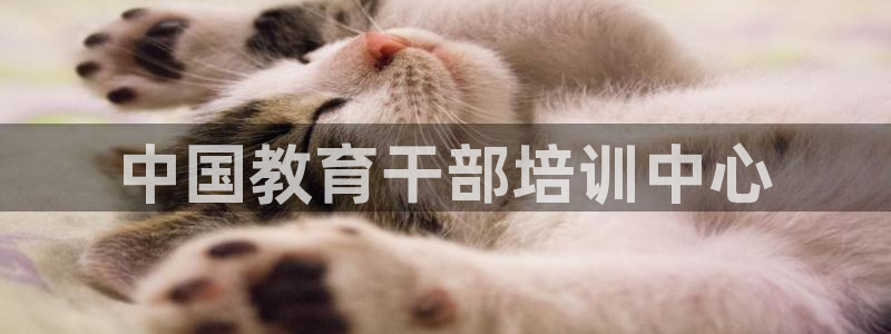 jdb电子哪个好赢钱