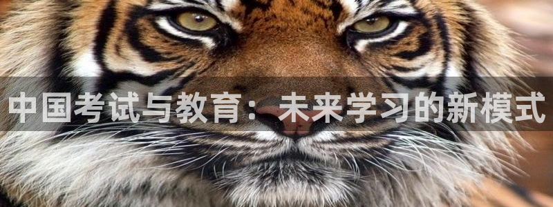 jdb电子哪里可以试玩