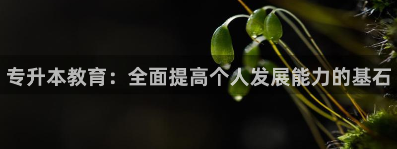 jdb电子怎么拉奖池