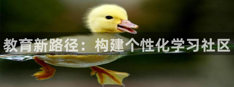 jdb电子飞鸟派对游戏爆大奖图片