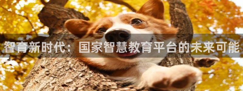 jdb电子官网下载